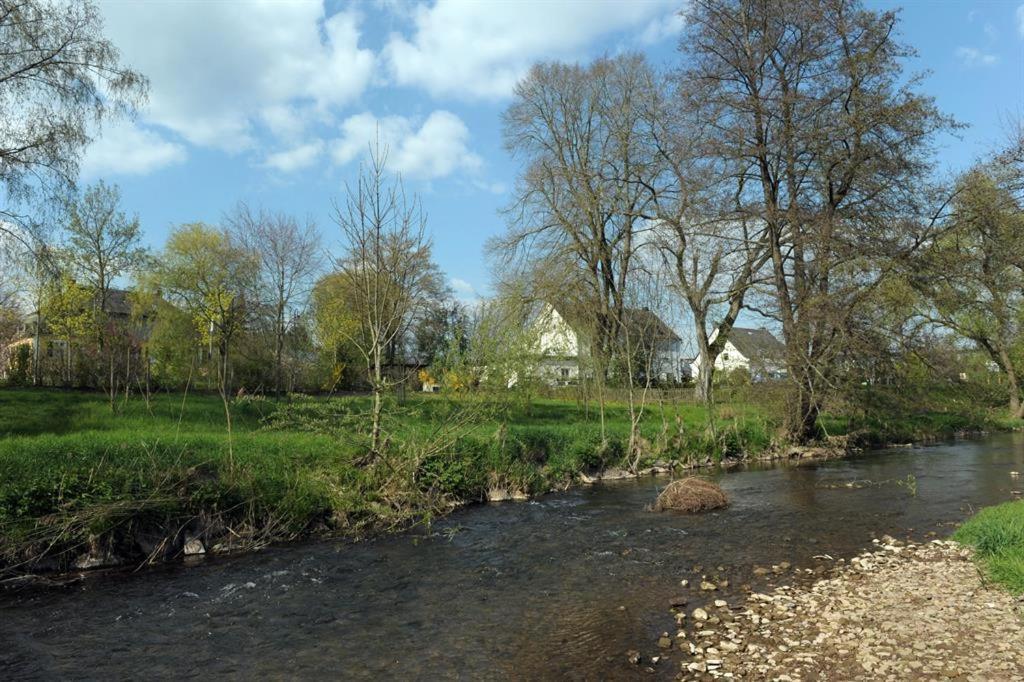 Ferienwohnung Pint Bickendorf エクステリア 写真