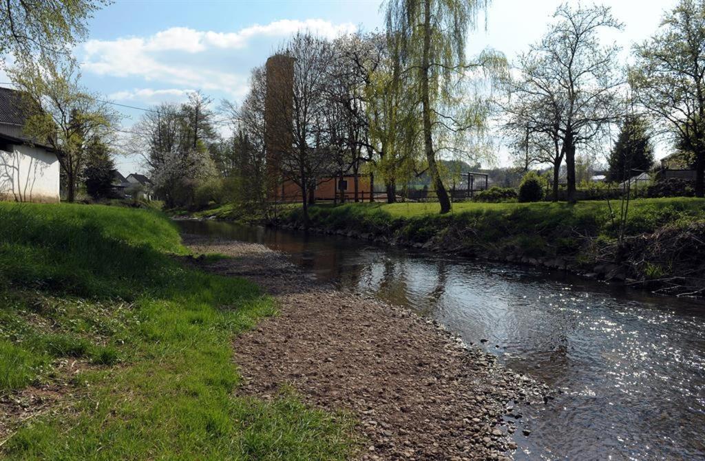 Ferienwohnung Pint Bickendorf エクステリア 写真